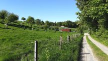Inventarisierung der Landschaft: Naturschutzfachliche Erfassungen im Gemeindegebiet Borchen und im FFH-Gebiet „Wälder bei Büren“ 